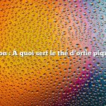 Question : À quoi sert le thé d’ortie piquante ?